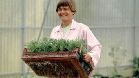 En 2021, les caisses de MSA deviendront l’interlocuteur unique des entreprises dans la réforme de l’OETH. ©MSA PDL